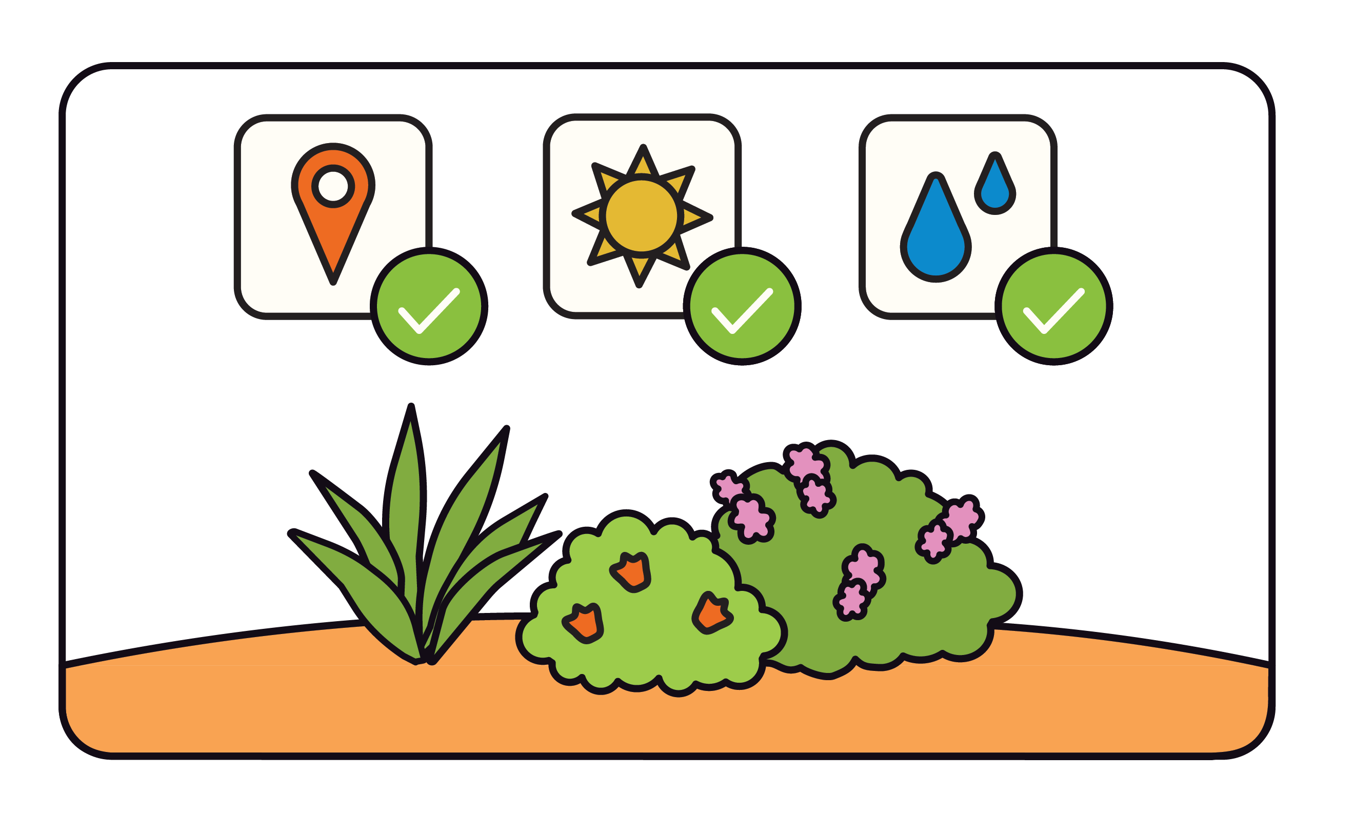 Culdesac The Virtuous Cycle of ClimateConducive Plants